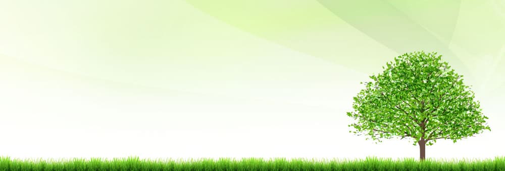 AI�V�X�e���̂�����ƗL���Ȏd�g��